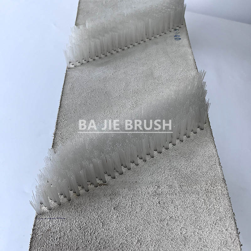Wide Belt Brush